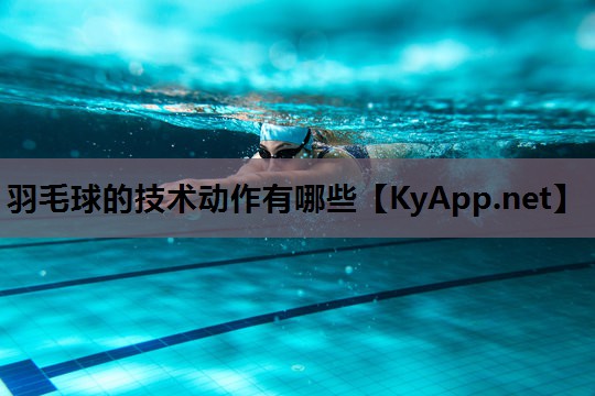 羽毛球的技术动作有哪些 羽毛球的技术动作有哪些