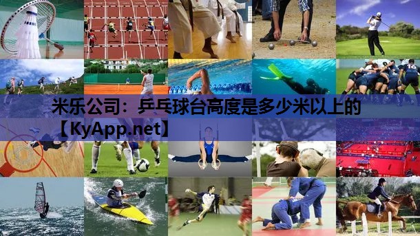 乒乓球台高度是多少米以上的 乒乓球台高度是多少米以上的