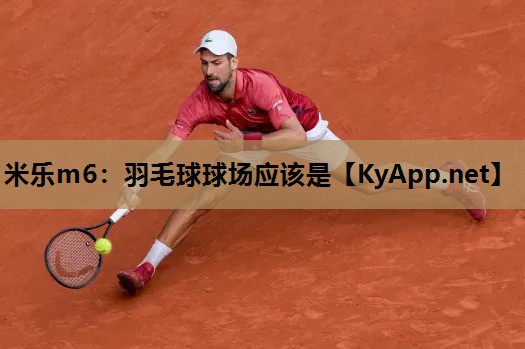 羽毛球球场应该是 羽毛球球场应该是