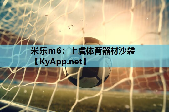 上虞体育器材沙袋 上虞体育器材沙袋
