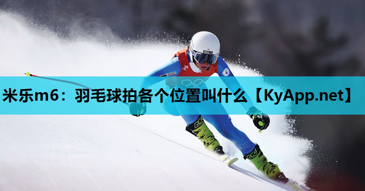 羽毛球拍各个位置叫什么 羽毛球拍各个位置叫什么