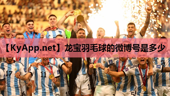 龙宝羽毛球的微博号是多少 龙宝羽毛球的微博号是多少
